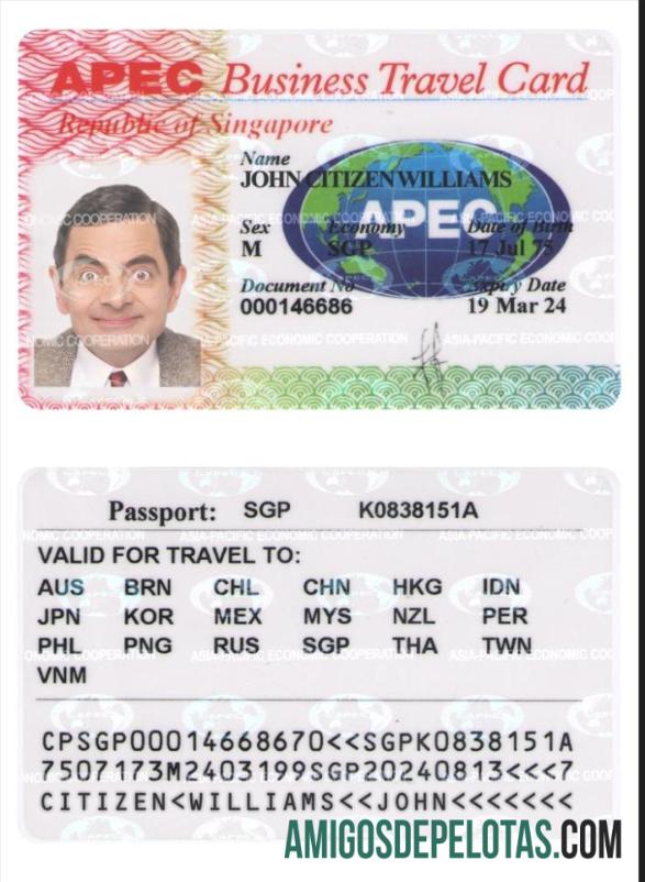 Cartão de viagem de negócios de SINGAPURA baixar para verificação